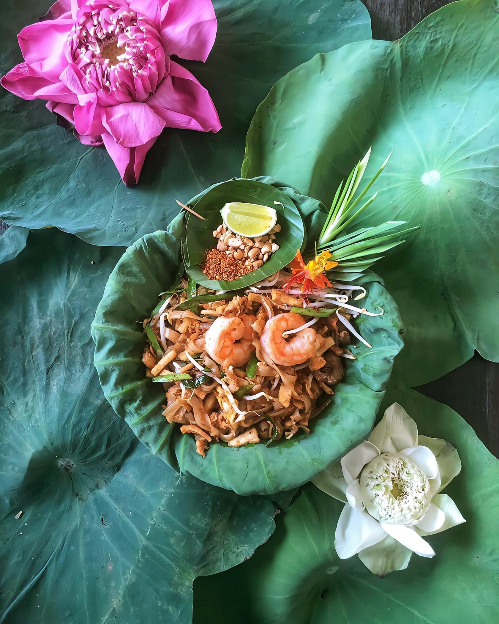 Garden kitchen Pho