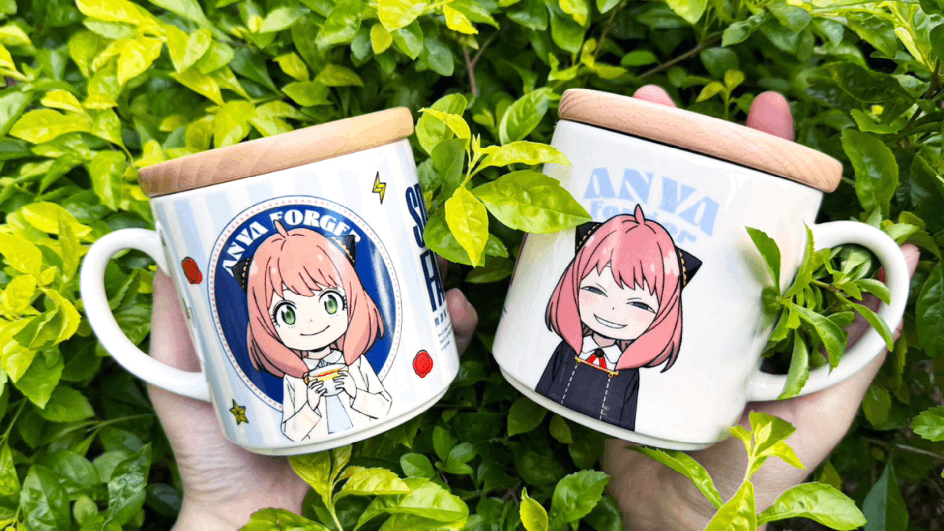 mugs